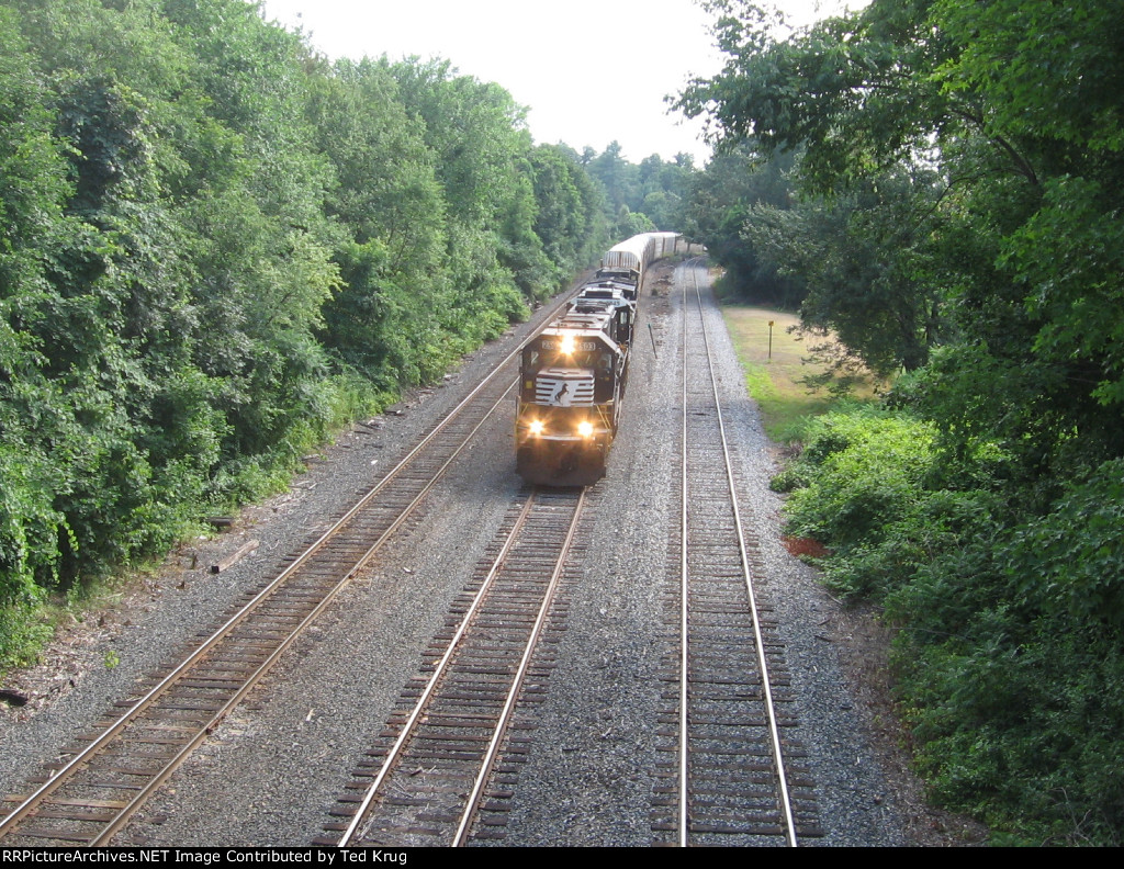 NS 2503, 8845 & 8974